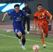 泰山金雕队对阵泰山雷霆队，电竞总决赛失利，内线统治篮板——门前嗅觉决定胜负的简单介绍